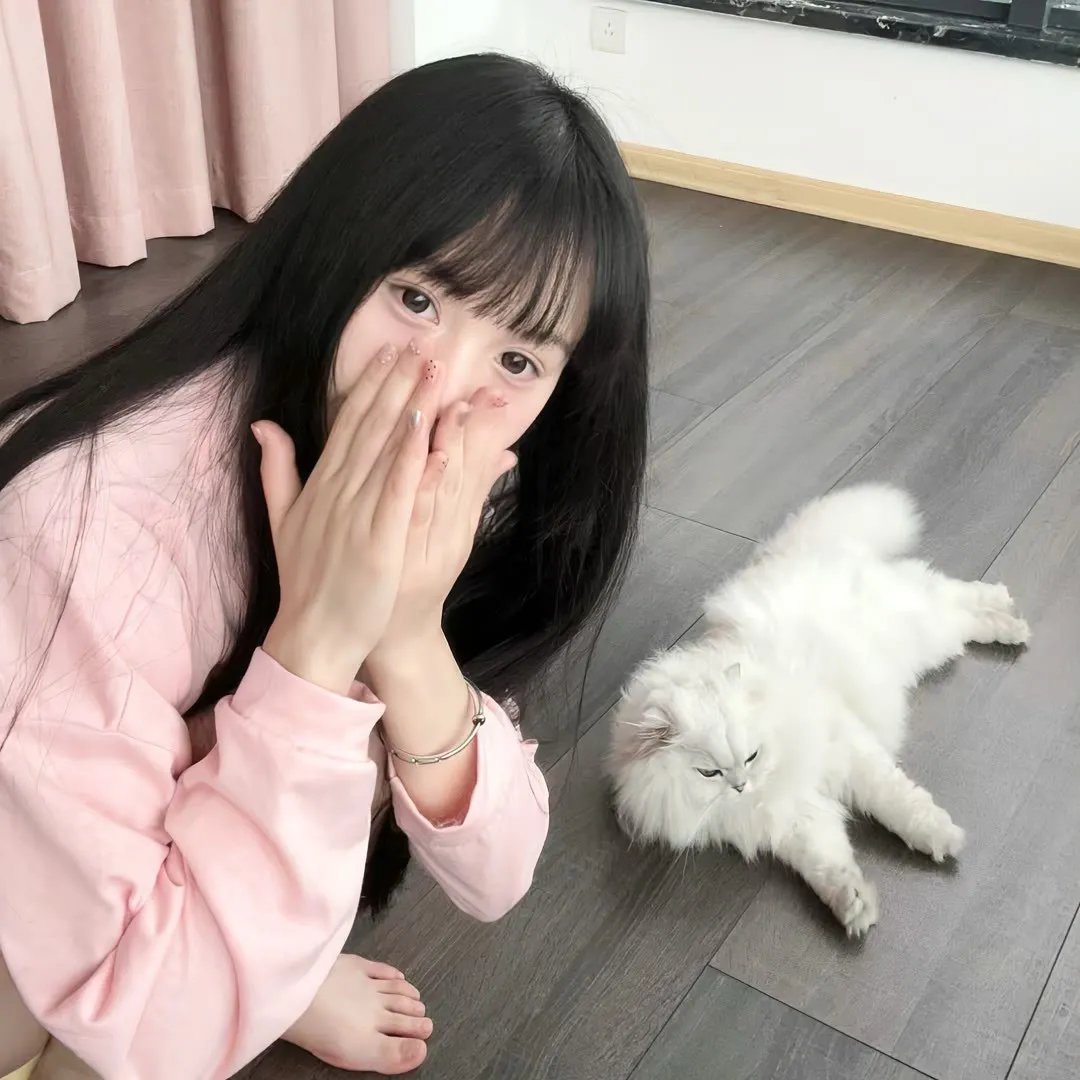 神农尺